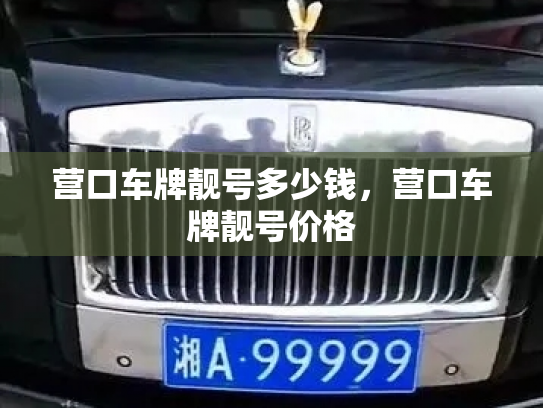 营口车牌靓号多少钱,营口车牌靓号价格-第2张图片-七号汽车选号 营口车牌靓号多少钱,营口车牌靓号价格-第2张图片-七号汽车选号