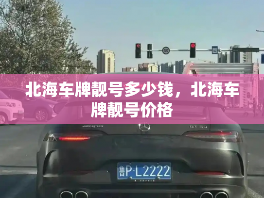北海车牌靓号多少钱，北海车牌靓号价格-第4张图片-七号汽车选号