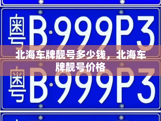 北海车牌靓号多少钱，北海车牌靓号价格-第2张图片-七号汽车选号