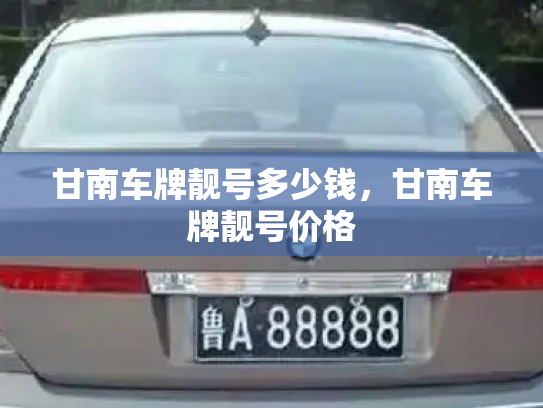 甘南车牌靓号多少钱,甘南车牌靓号价格-第2张图片-七号汽车选号 甘南车牌靓号多少钱,甘南车牌靓号价格-第2张图片-七号汽车选号