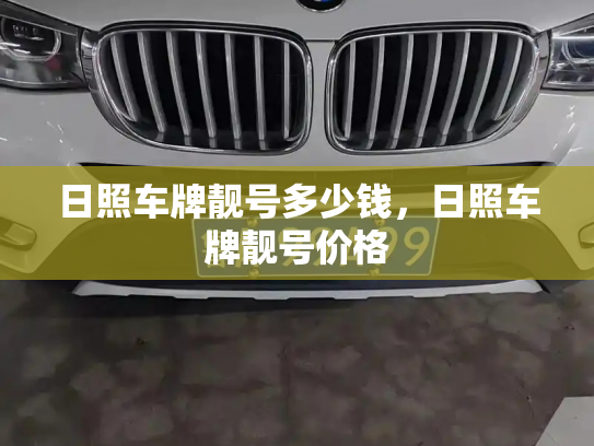 日照车牌靓号多少钱,日照车牌靓号价格-第4张图片-七号汽车选号 日照车牌靓号多少钱,日照车牌靓号价格-第4张图片-七号汽车选号