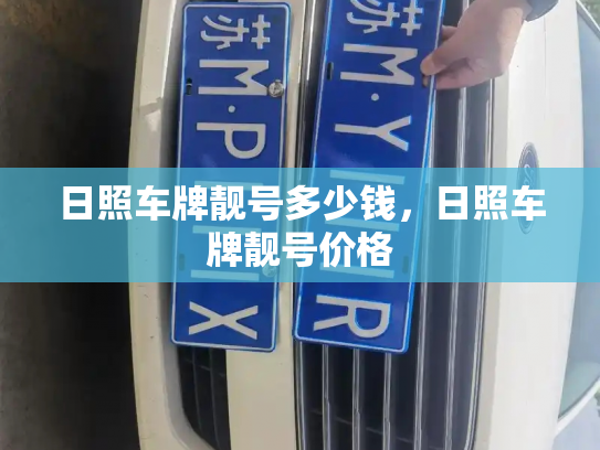 日照车牌靓号多少钱,日照车牌靓号价格-第2张图片-七号汽车选号 日照车牌靓号多少钱,日照车牌靓号价格-第2张图片-七号汽车选号