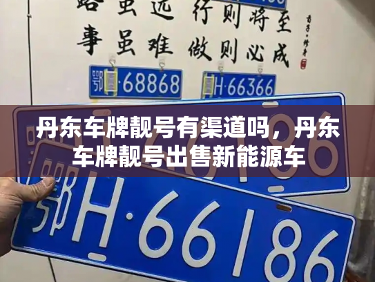 丹东车牌靓号有渠道吗，丹东车牌靓号出售新能源车-第2张图片-七号汽车选号