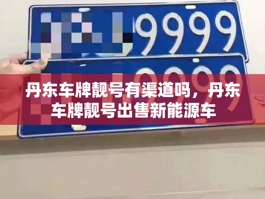 丹东车牌靓号有渠道吗，丹东车牌靓号出售新能源车-第3张图片-七号汽车选号