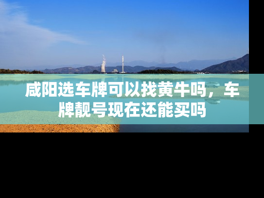 咸阳选车牌可以找黄牛吗，车牌靓号现在还能买吗