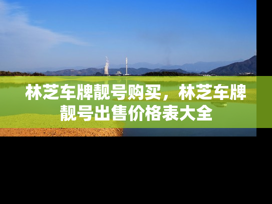 林芝车牌靓号购买，林芝车牌靓号出售价格表大全-第1张图片-七号汽车选号