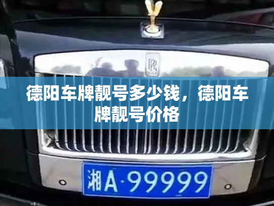 德阳车牌靓号多少钱,德阳车牌靓号价格-第4张图片-七号汽车选号 德阳车牌靓号多少钱,德阳车牌靓号价格-第4张图片-七号汽车选号