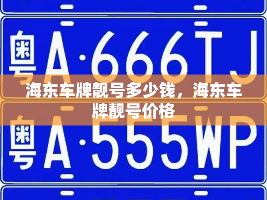 海东车牌靓号多少钱，海东车牌靓号价格-第3张图片-七号汽车选号