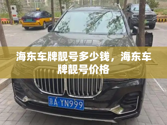 海东车牌靓号多少钱，海东车牌靓号价格-第4张图片-七号汽车选号