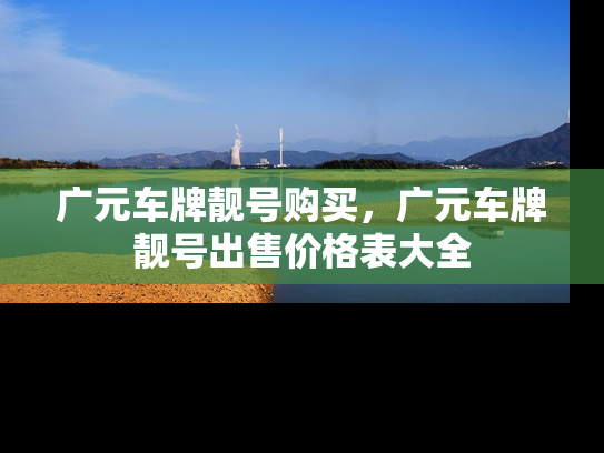 广元车牌靓号购买，广元车牌靓号出售价格表大全-第1张图片-七号汽车选号