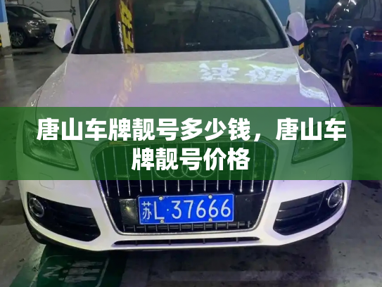 唐山车牌靓号多少钱,唐山车牌靓号价格-第3张图片-七号汽车选号 唐山车牌靓号多少钱,唐山车牌靓号价格-第3张图片-七号汽车选号