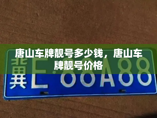 唐山车牌靓号多少钱,唐山车牌靓号价格-第4张图片-七号汽车选号 唐山车牌靓号多少钱,唐山车牌靓号价格-第4张图片-七号汽车选号