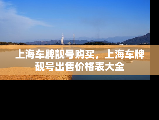 上海车牌靓号购买，上海车牌靓号出售价格表大全-第1张图片-七号汽车选号
