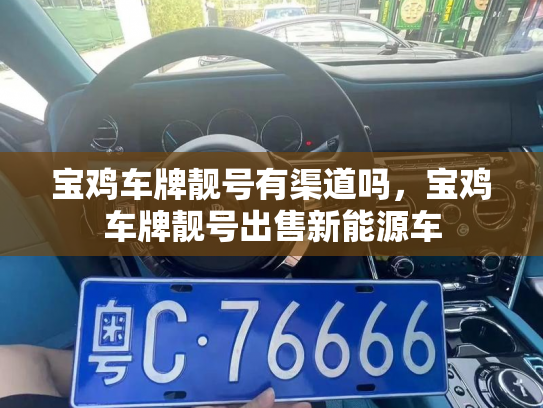 宝鸡车牌靓号有渠道吗，宝鸡车牌靓号出售新能源车-第2张图片-七号汽车选号