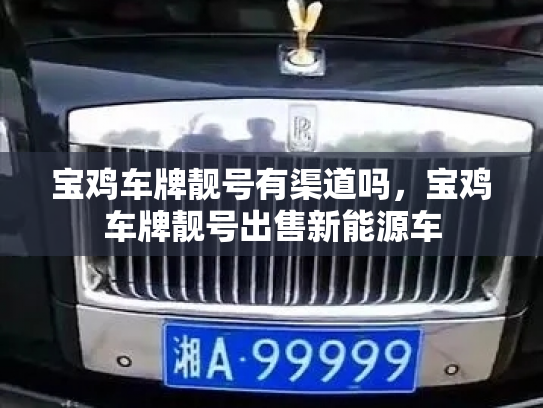 宝鸡车牌靓号有渠道吗，宝鸡车牌靓号出售新能源车-第3张图片-七号汽车选号