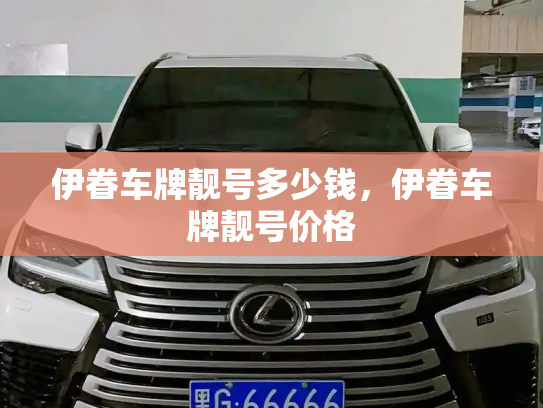 伊眷车牌靓号多少钱,伊眷车牌靓号价格-第3张图片-七号汽车选号 伊眷车牌靓号多少钱,伊眷车牌靓号价格-第3张图片-七号汽车选号