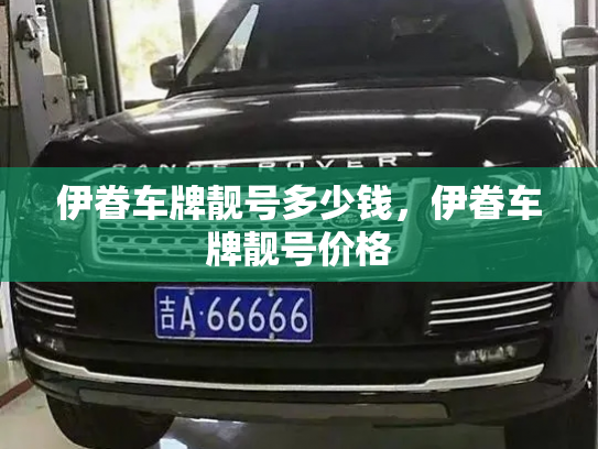 伊眷车牌靓号多少钱,伊眷车牌靓号价格-第4张图片-七号汽车选号 伊眷车牌靓号多少钱,伊眷车牌靓号价格-第4张图片-七号汽车选号