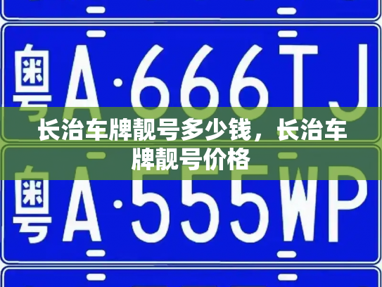 长治车牌靓号多少钱,长治车牌靓号价格-第4张图片-七号汽车选号 长治车牌靓号多少钱,长治车牌靓号价格-第4张图片-七号汽车选号
