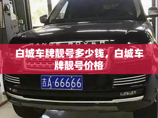 白城车牌靓号多少钱,白城车牌靓号价格-第4张图片-七号汽车选号 白城车牌靓号多少钱,白城车牌靓号价格-第4张图片-七号汽车选号