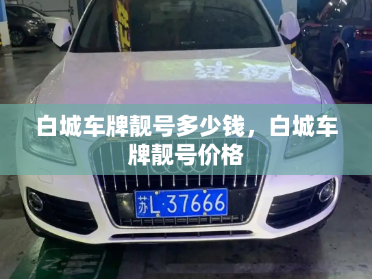 白城车牌靓号多少钱,白城车牌靓号价格-第2张图片-七号汽车选号 白城车牌靓号多少钱,白城车牌靓号价格-第2张图片-七号汽车选号
