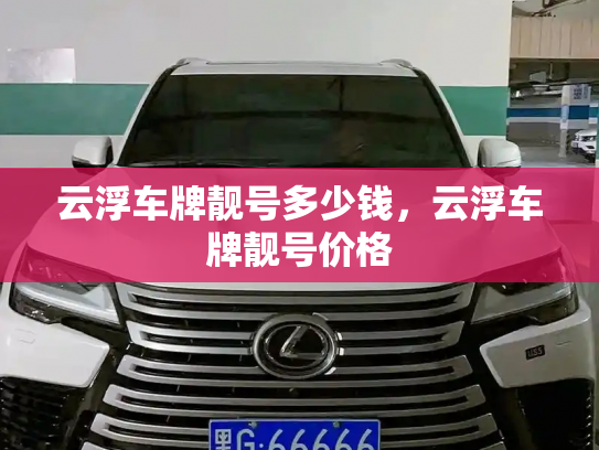 云浮车牌靓号多少钱,云浮车牌靓号价格-第3张图片-七号汽车选号 云浮车牌靓号多少钱,云浮车牌靓号价格-第3张图片-七号汽车选号