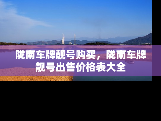 陇南车牌靓号购买，陇南车牌靓号出售价格表大全-第1张图片-七号汽车选号