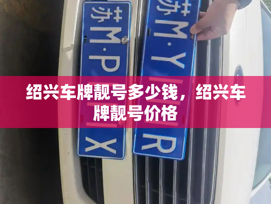 绍兴车牌靓号多少钱,绍兴车牌靓号价格-第4张图片-七号汽车选号 绍兴车牌靓号多少钱,绍兴车牌靓号价格-第4张图片-七号汽车选号
