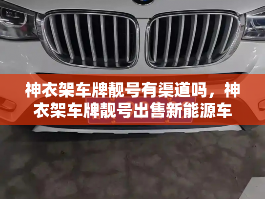 神衣架车牌靓号有渠道吗，神衣架车牌靓号出售新能源车-第2张图片-七号汽车选号