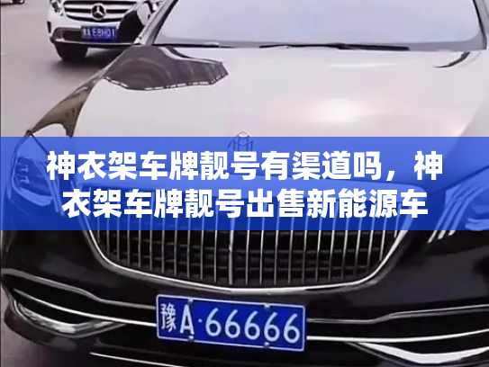 神衣架车牌靓号有渠道吗，神衣架车牌靓号出售新能源车-第3张图片-七号汽车选号