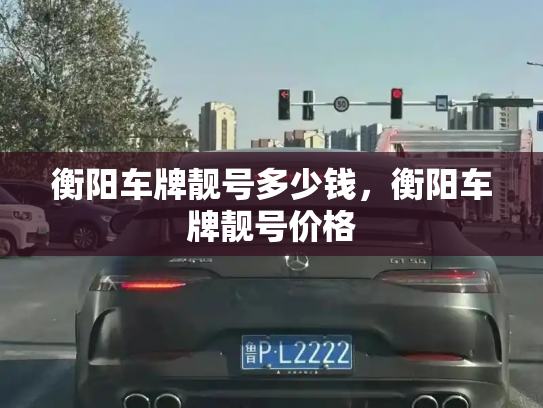 衡阳车牌靓号多少钱,衡阳车牌靓号价格-第3张图片-七号汽车选号 衡阳车牌靓号多少钱,衡阳车牌靓号价格-第3张图片-七号汽车选号