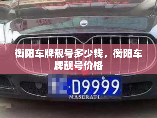 衡阳车牌靓号多少钱,衡阳车牌靓号价格-第4张图片-七号汽车选号 衡阳车牌靓号多少钱,衡阳车牌靓号价格-第4张图片-七号汽车选号