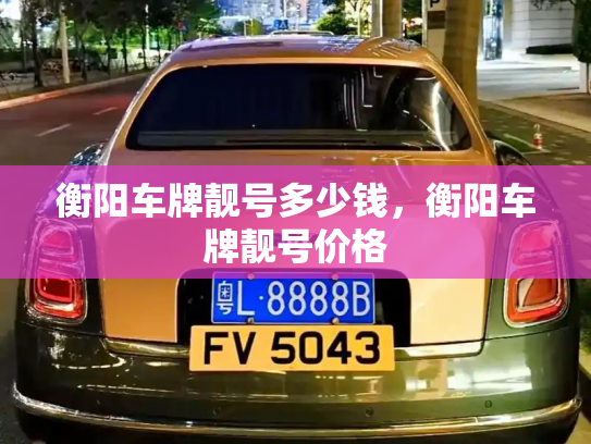 衡阳车牌靓号多少钱,衡阳车牌靓号价格-第2张图片-七号汽车选号 衡阳车牌靓号多少钱,衡阳车牌靓号价格-第2张图片-七号汽车选号