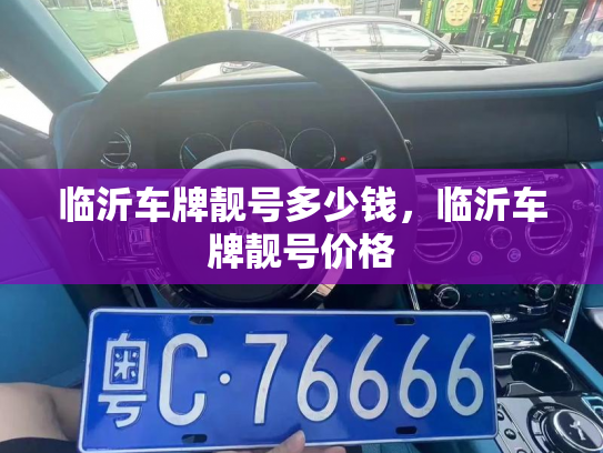 临沂车牌靓号多少钱,临沂车牌靓号价格-第2张图片-七号汽车选号 临沂车牌靓号多少钱,临沂车牌靓号价格-第2张图片-七号汽车选号