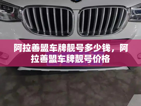 阿拉善盟车牌靓号多少钱，阿拉善盟车牌靓号价格-第3张图片-七号汽车选号