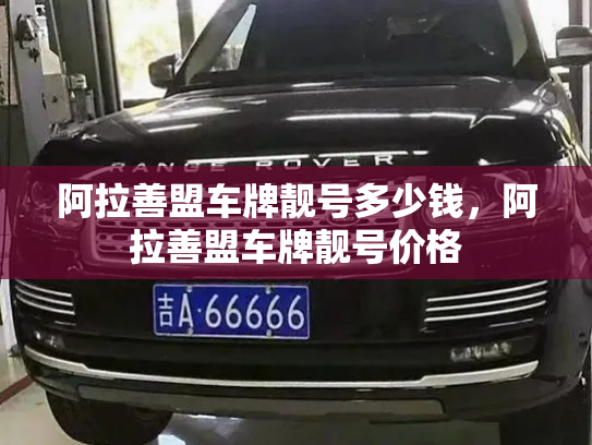 阿拉善盟车牌靓号多少钱，阿拉善盟车牌靓号价格-第4张图片-七号汽车选号