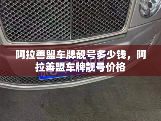 阿拉善盟车牌靓号多少钱，阿拉善盟车牌靓号价格-第2张图片-七号汽车选号