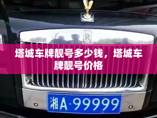 塔城车牌靓号多少钱,塔城车牌靓号价格-第4张图片-七号汽车选号 塔城车牌靓号多少钱,塔城车牌靓号价格-第4张图片-七号汽车选号