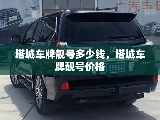 塔城车牌靓号多少钱,塔城车牌靓号价格-第2张图片-七号汽车选号 塔城车牌靓号多少钱,塔城车牌靓号价格-第2张图片-七号汽车选号