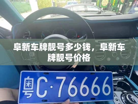 阜新车牌靓号多少钱,阜新车牌靓号价格-第3张图片-七号汽车选号 阜新车牌靓号多少钱,阜新车牌靓号价格-第3张图片-七号汽车选号