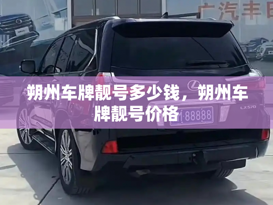 朔州车牌靓号多少钱，朔州车牌靓号价格-第3张图片-七号汽车选号