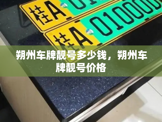 朔州车牌靓号多少钱，朔州车牌靓号价格-第2张图片-七号汽车选号