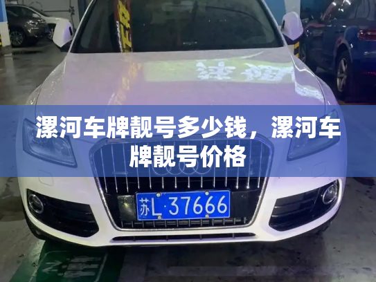 漯河车牌靓号多少钱,漯河车牌靓号价格-第3张图片-七号汽车选号 漯河车牌靓号多少钱,漯河车牌靓号价格-第3张图片-七号汽车选号