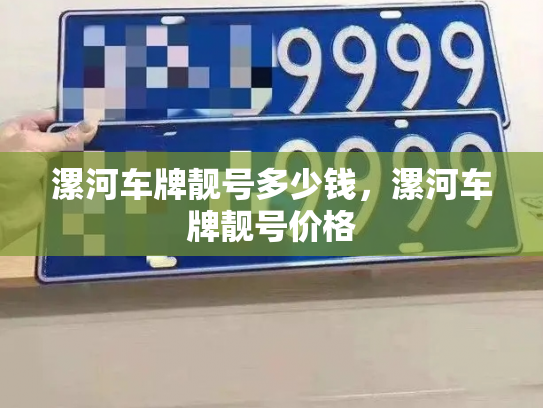 漯河车牌靓号多少钱,漯河车牌靓号价格-第4张图片-七号汽车选号 漯河车牌靓号多少钱,漯河车牌靓号价格-第4张图片-七号汽车选号