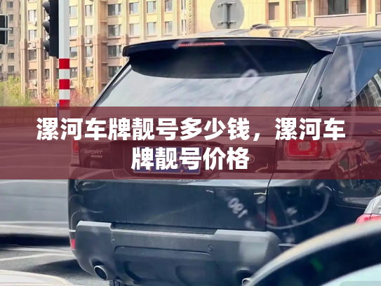 漯河车牌靓号多少钱,漯河车牌靓号价格-第2张图片-七号汽车选号 漯河车牌靓号多少钱,漯河车牌靓号价格-第2张图片-七号汽车选号