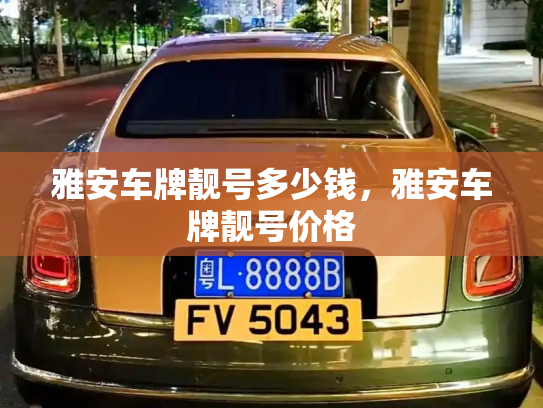 雅安车牌靓号多少钱,雅安车牌靓号价格-第4张图片-七号汽车选号 雅安车牌靓号多少钱,雅安车牌靓号价格-第4张图片-七号汽车选号