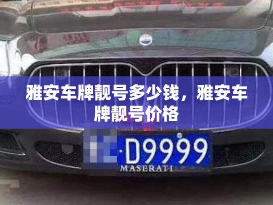 雅安车牌靓号多少钱,雅安车牌靓号价格-第2张图片-七号汽车选号 雅安车牌靓号多少钱,雅安车牌靓号价格-第2张图片-七号汽车选号