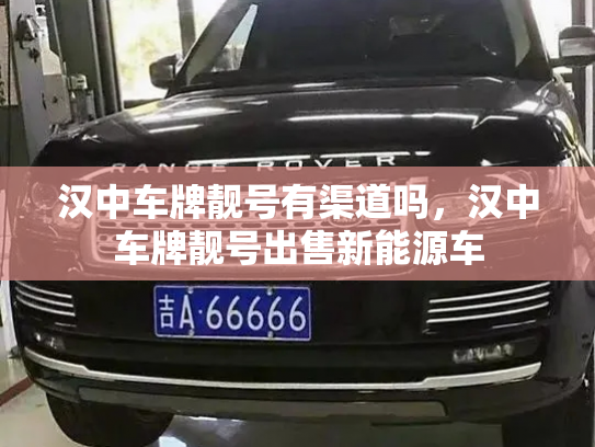 汉中车牌靓号有渠道吗,汉中车牌靓号出售新能源车-第2张图片-七号汽车选号 汉中车牌靓号有渠道吗,汉中车牌靓号出售新能源车-第2张图片-七号汽车选号
