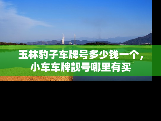 玉林豹子车牌号多少钱一个，小车车牌靓号哪里有买