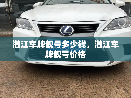 潜江车牌靓号多少钱，潜江车牌靓号价格-第4张图片-七号汽车选号