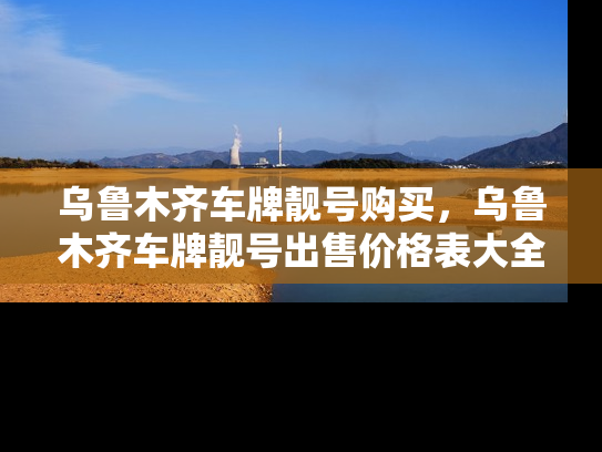 乌鲁木齐车牌靓号购买，乌鲁木齐车牌靓号出售价格表大全-第1张图片-七号汽车选号